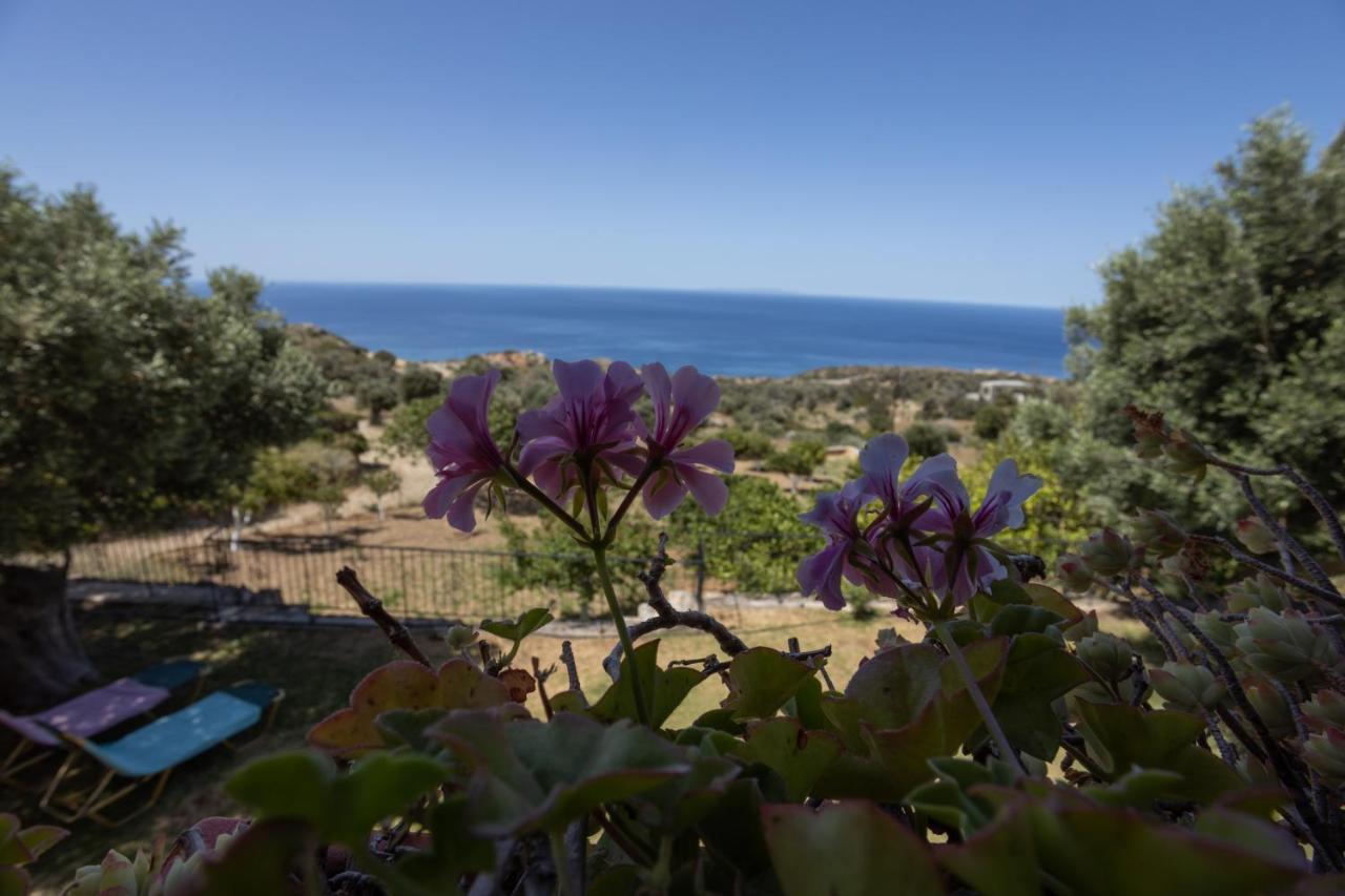 Agia Paraskevi  Manolis' Houseヴィラ エクステリア 写真