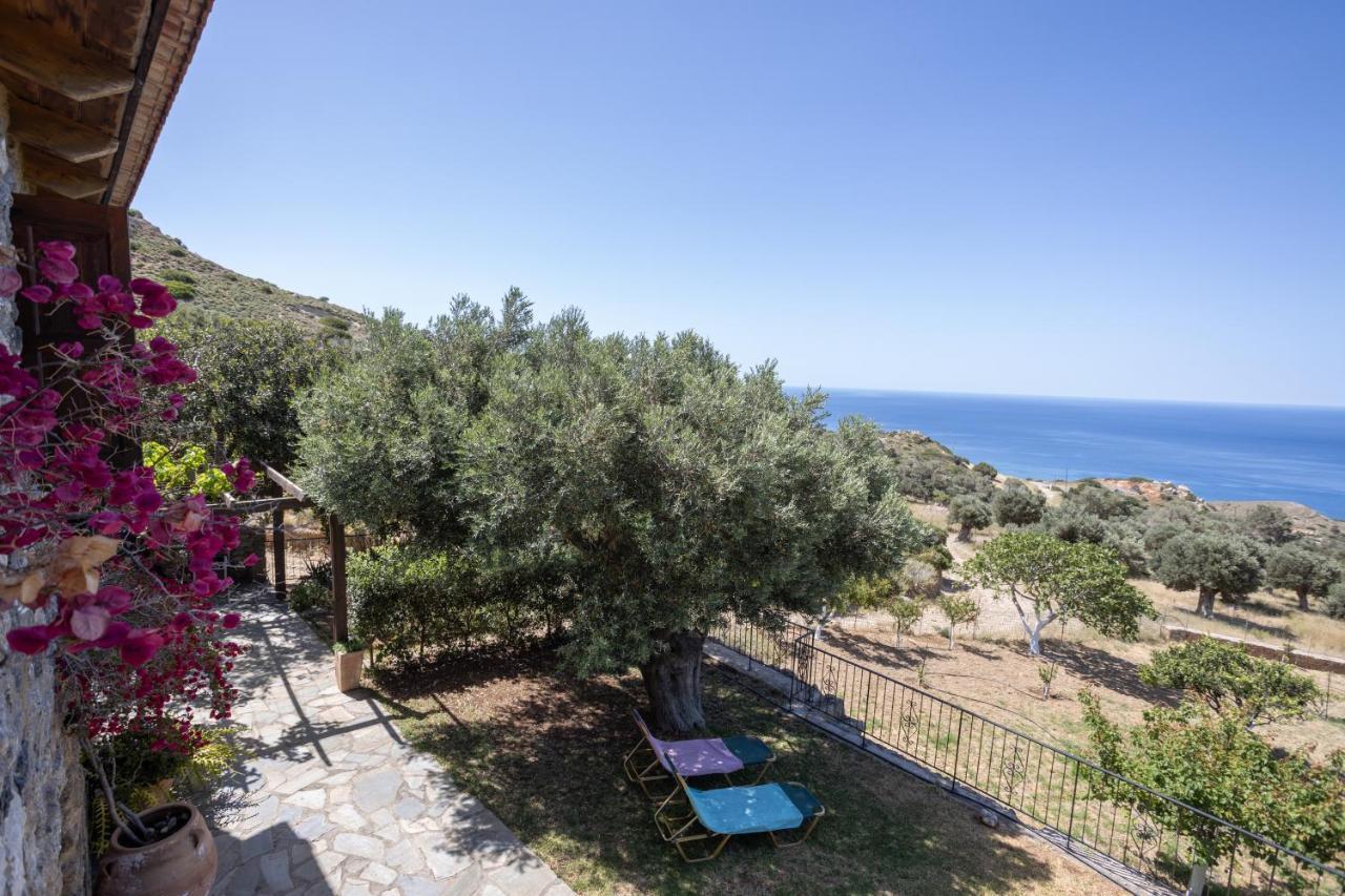 Agia Paraskevi  Manolis' Houseヴィラ エクステリア 写真
