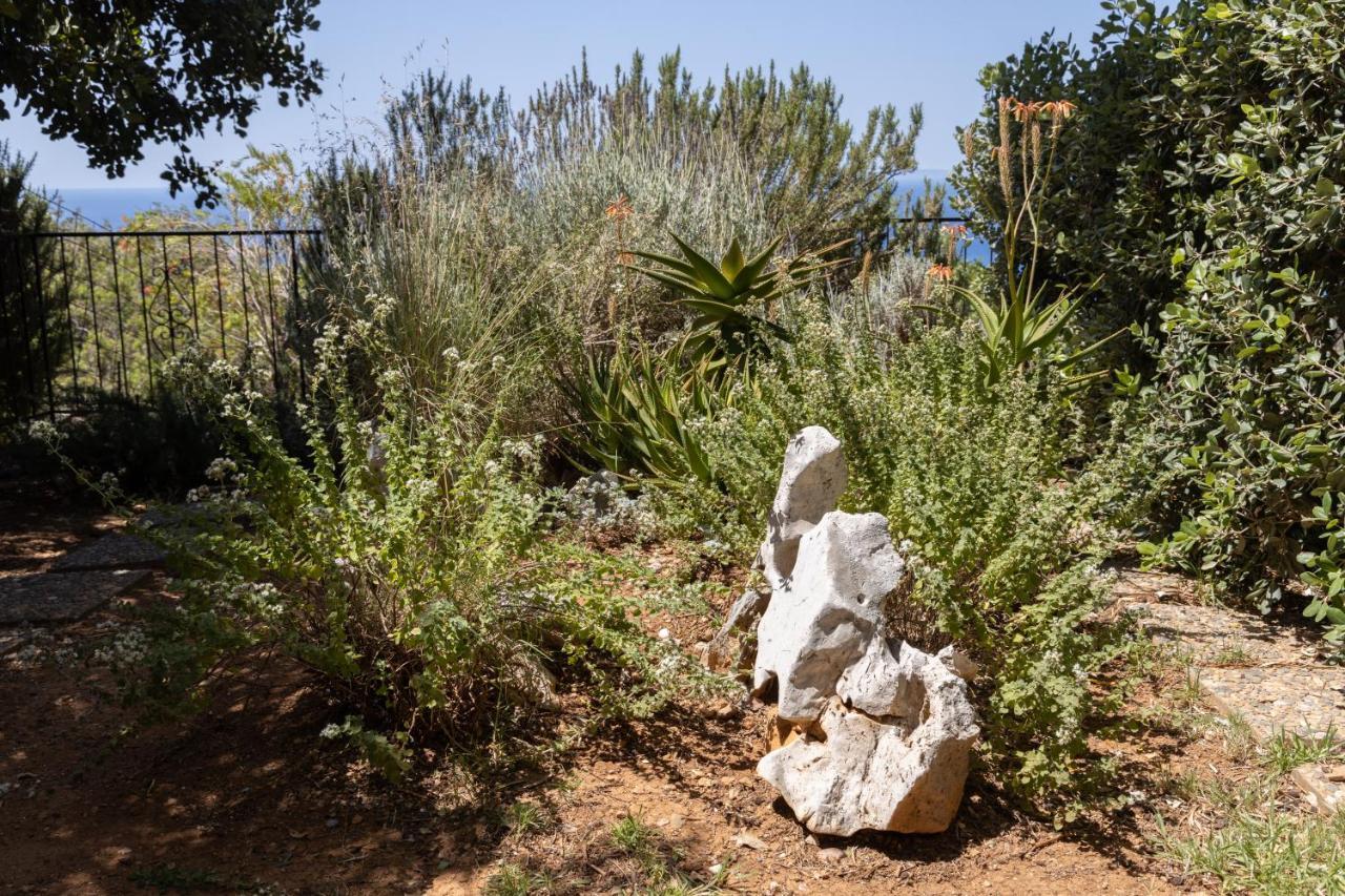 Agia Paraskevi  Manolis' Houseヴィラ エクステリア 写真