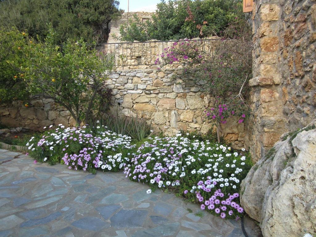 Agia Paraskevi  Manolis' Houseヴィラ エクステリア 写真